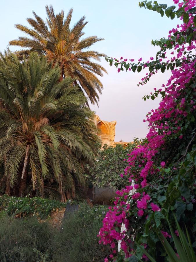 Golden Palms Guest House & Cafe Famagusta  Exterior foto