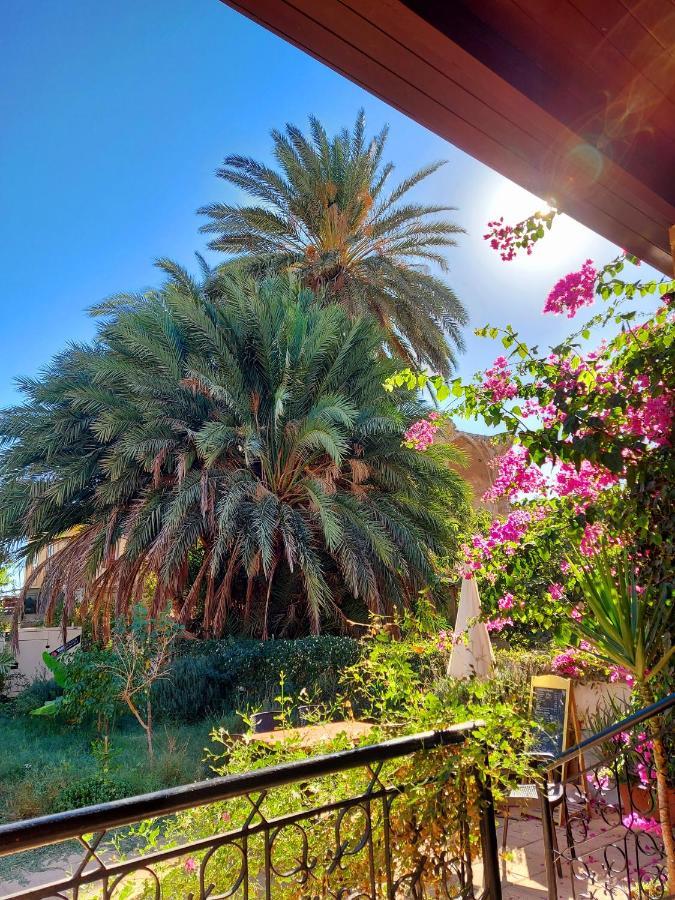 Golden Palms Guest House & Cafe Famagusta  Exterior foto