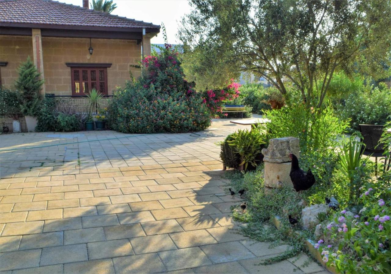 Golden Palms Guest House & Cafe Famagusta  Exterior foto